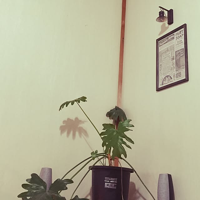 calmsweetsweetさんの実例写真