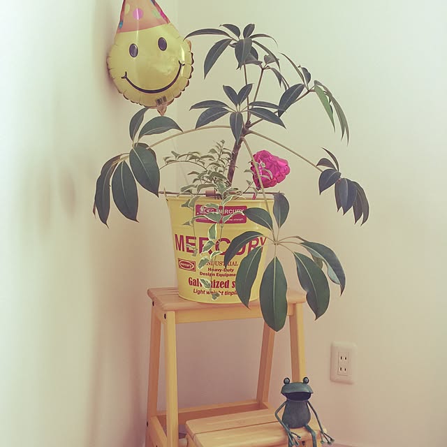 nonchaさんの実例写真