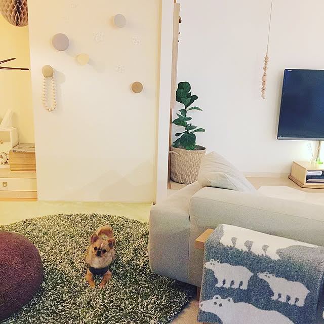 haruhinaさんの実例写真