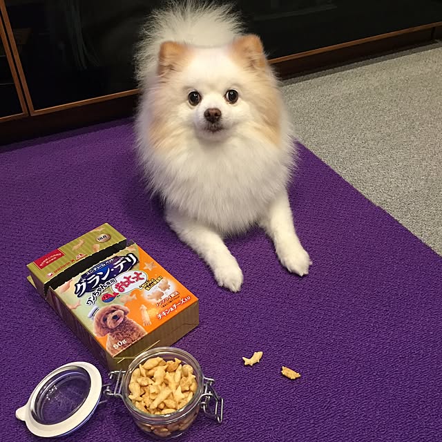 kt85さんの実例写真