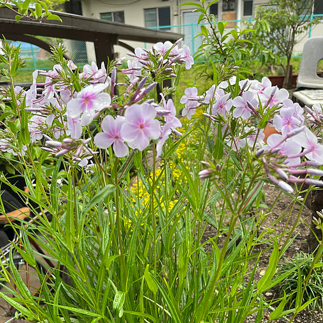shin0719さんの部屋