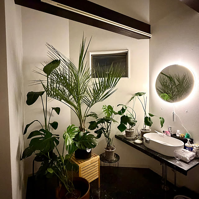 MOMOMAMAさんのお部屋の写真