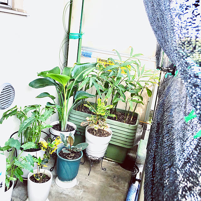 hanachanさんの部屋