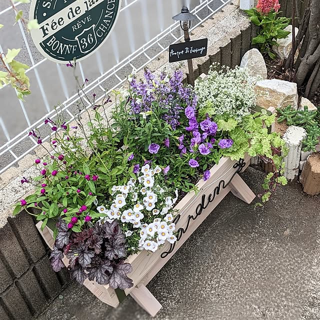 purpureさんの実例写真