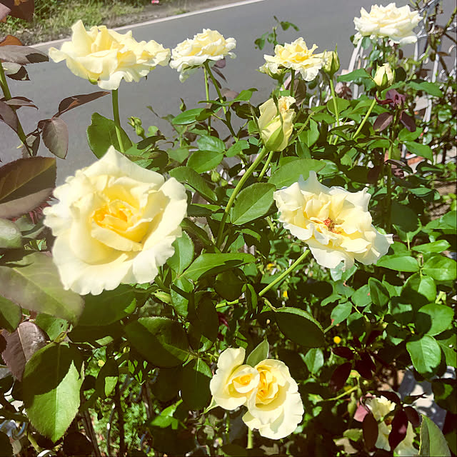 tomoさんの部屋