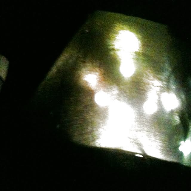 ricar99さんの実例写真