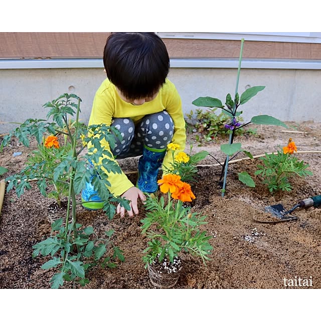 taitaiさんの実例写真