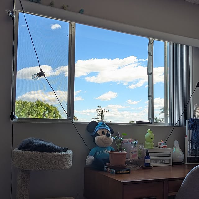 Cashewさんの部屋