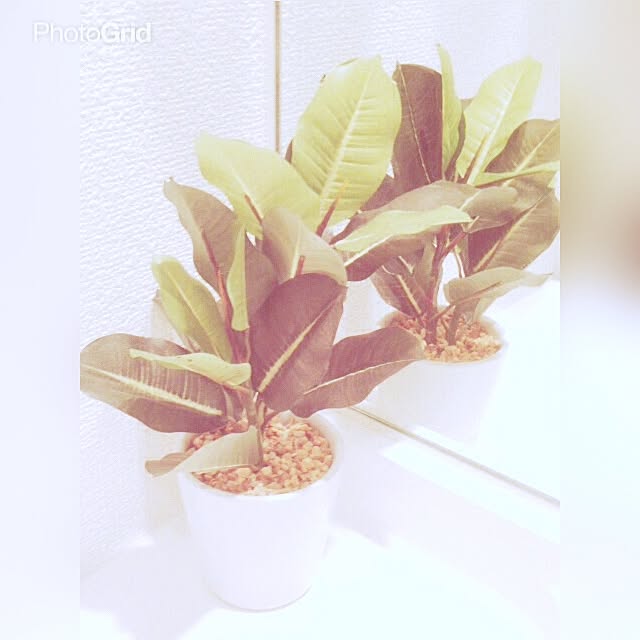 Arisaさんの実例写真