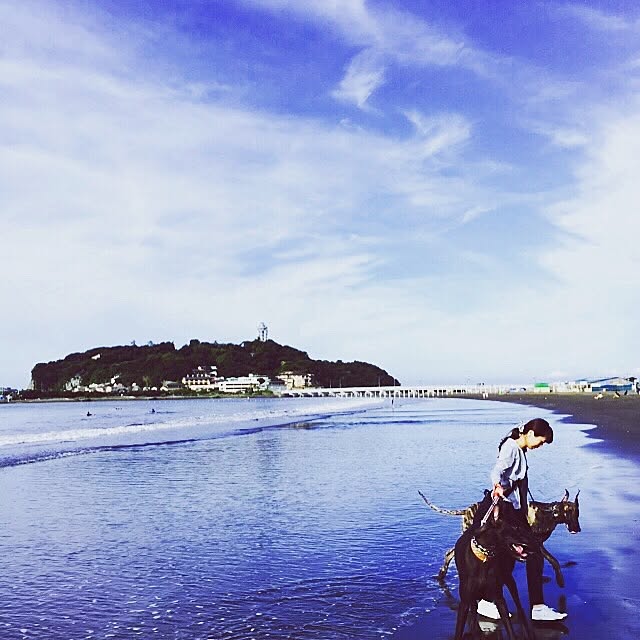 haruさんの実例写真