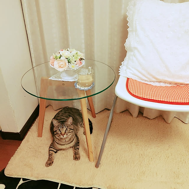 maikoさんの実例写真