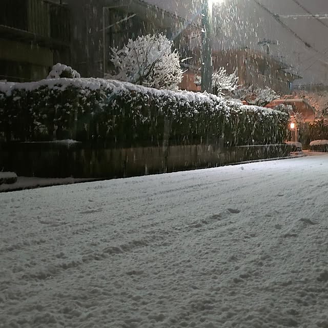 ya_maさんの部屋