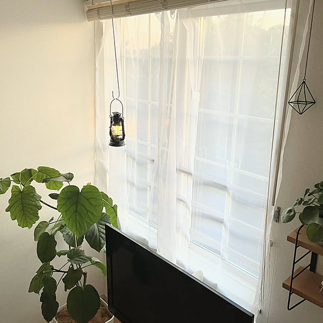 matteaさんの部屋