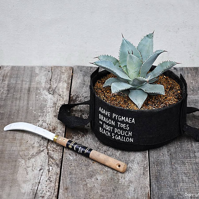 Royal_Gardeners_Clubさんの部屋