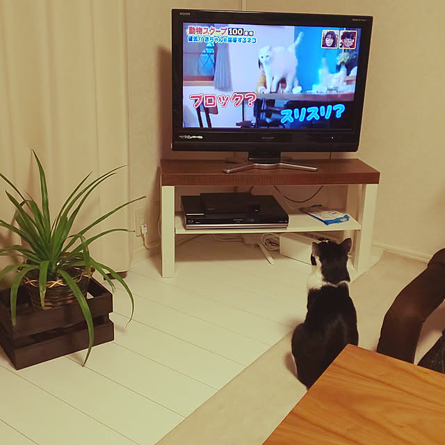 oseroさんの実例写真