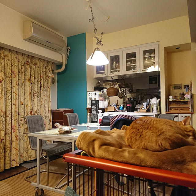 okyosan101さんの実例写真