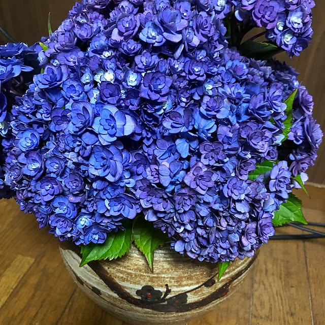 krmmk.lovekuraraさんの部屋