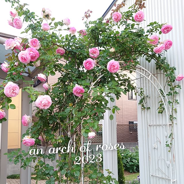 fleur-mamanさんの実例写真