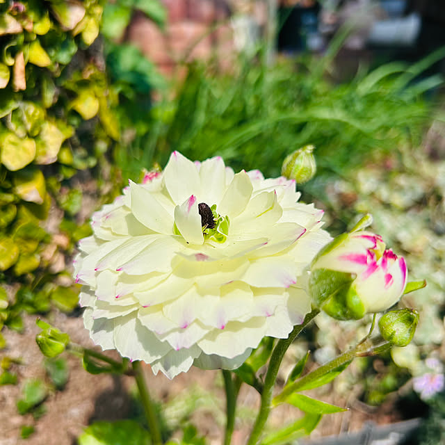 sunabaさんの実例写真