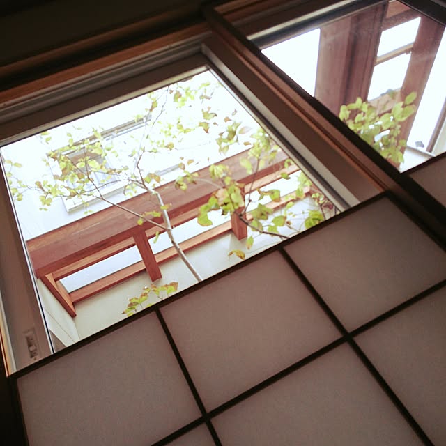 fullさんの実例写真