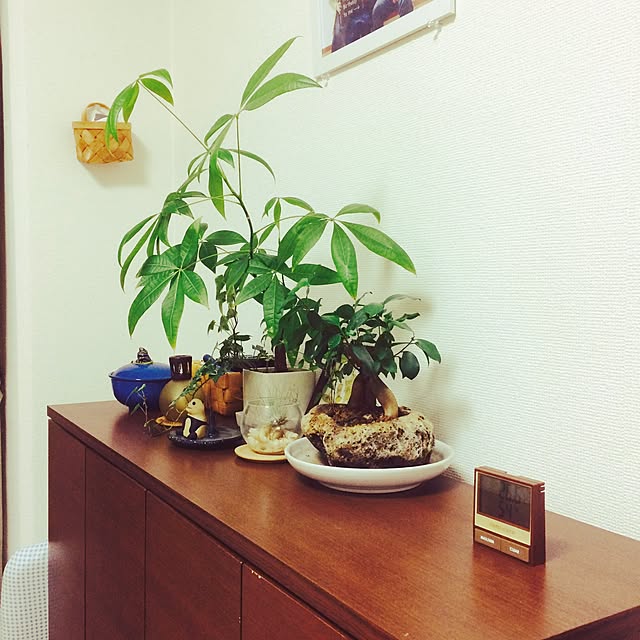 emem3104さんの実例写真