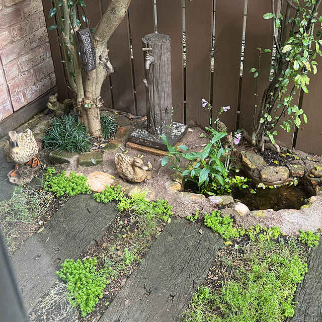 tabasaさんの部屋