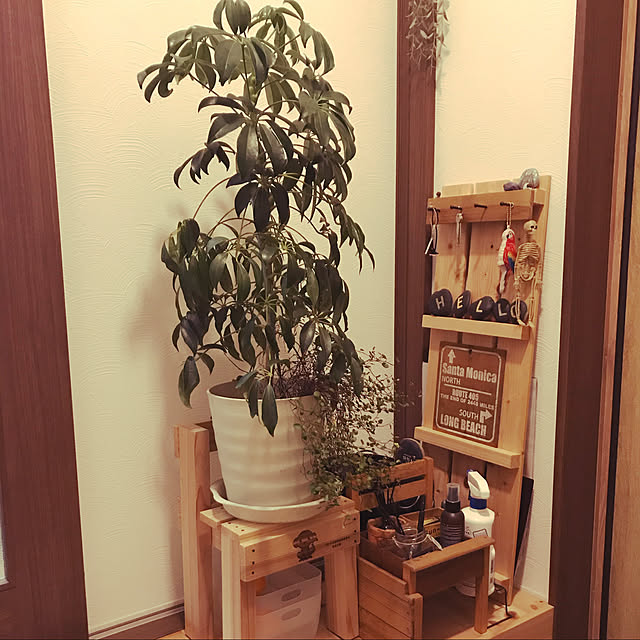 sa_lifeさんの実例写真