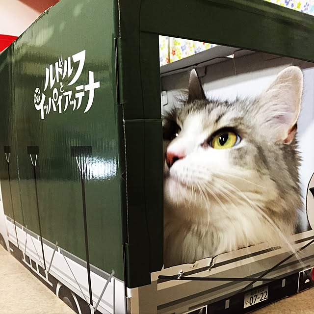neco7さんの実例写真