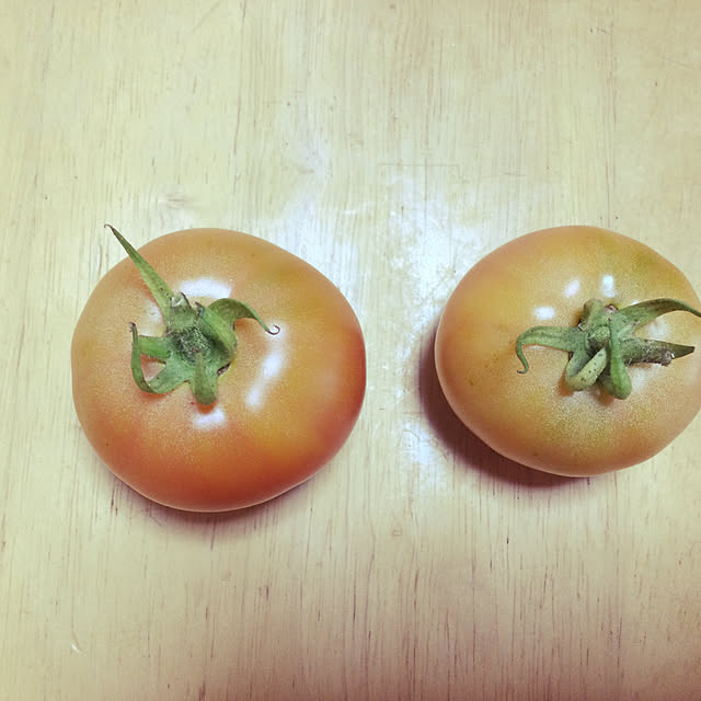 Y.Saさんの実例写真