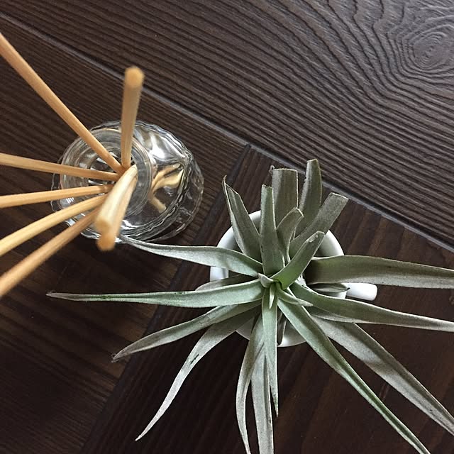 hiroさんの実例写真