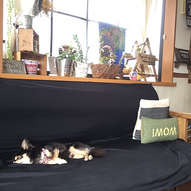 yokochinさんの実例写真