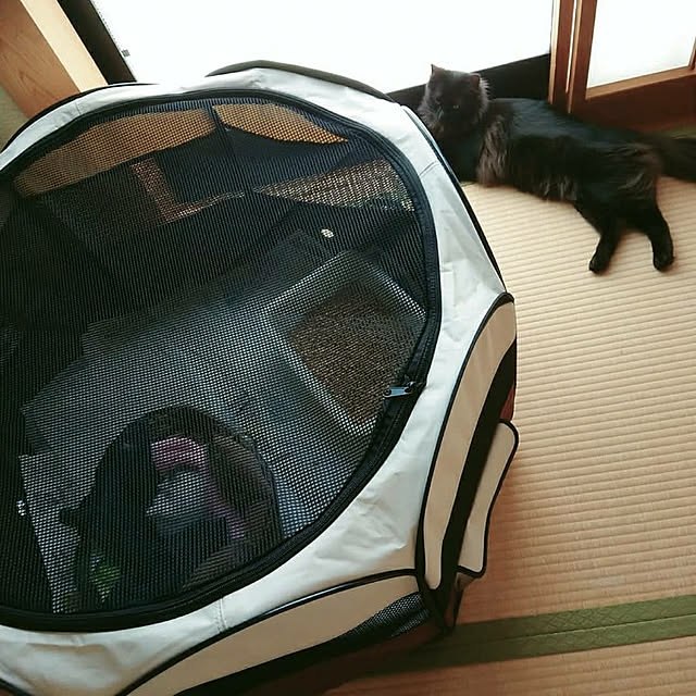 kumiさんの実例写真