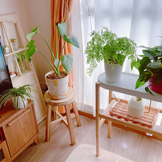 yuyuさんの部屋