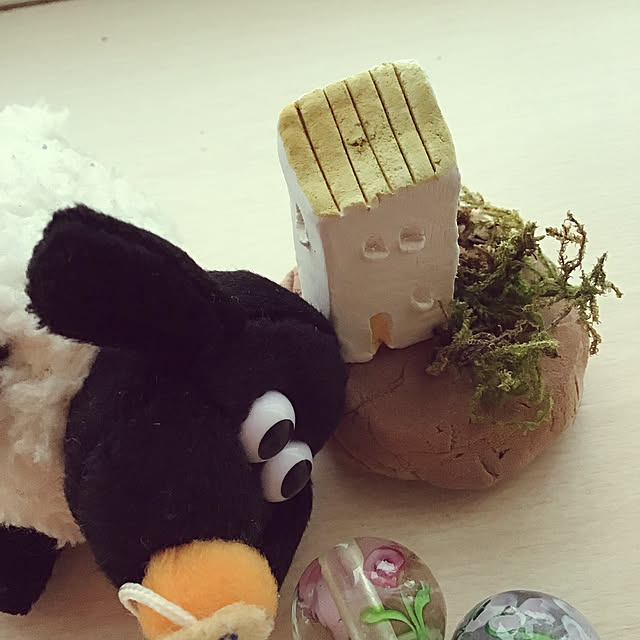 Setukoさんの実例写真
