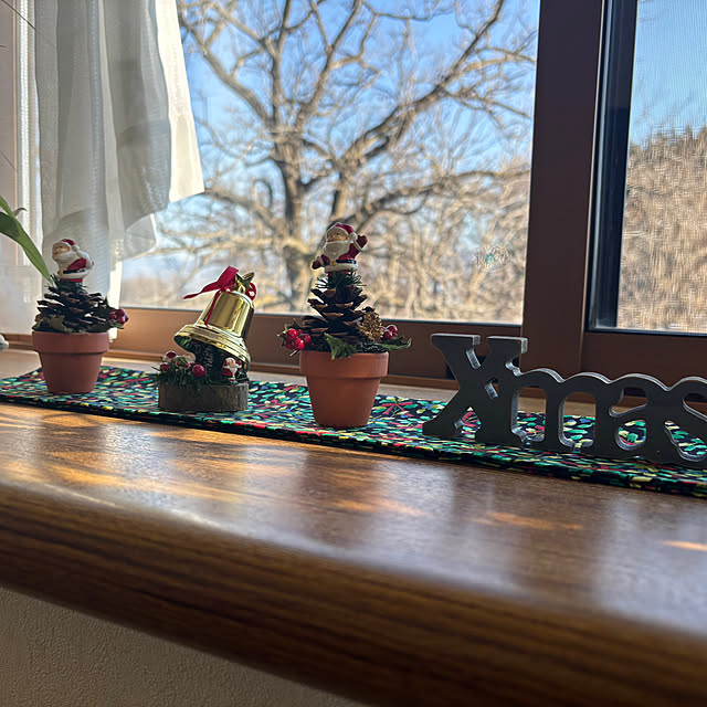 CASSISさんの部屋