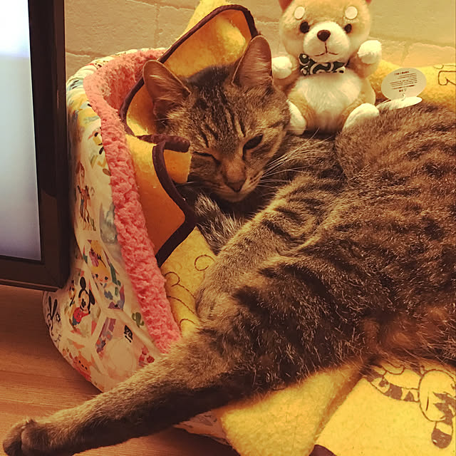 MILKさんの実例写真