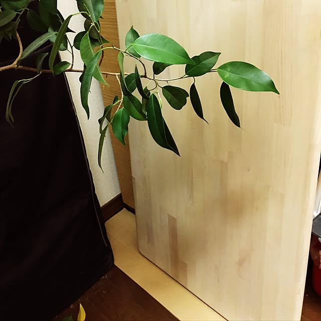 Harukaさんの実例写真