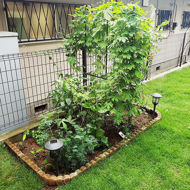 masaさんの実例写真