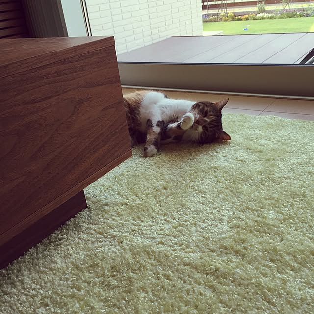 miyo419さんの実例写真
