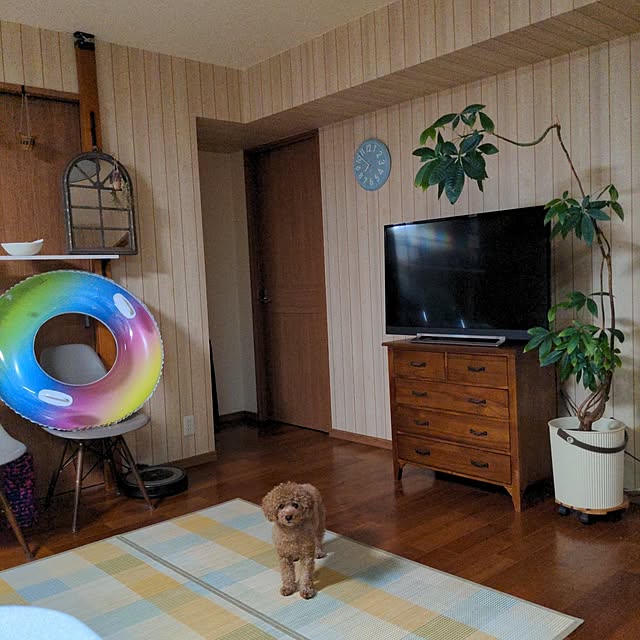snoofunさんの実例写真