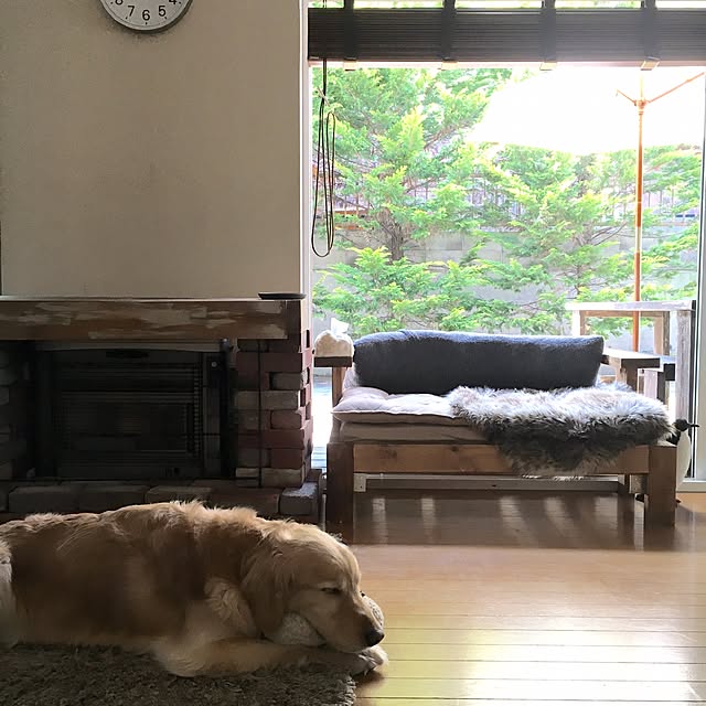 tomowithdogさんの実例写真