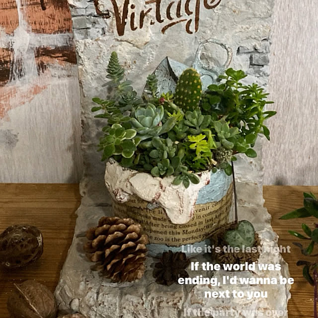 0103_eriさんの実例写真