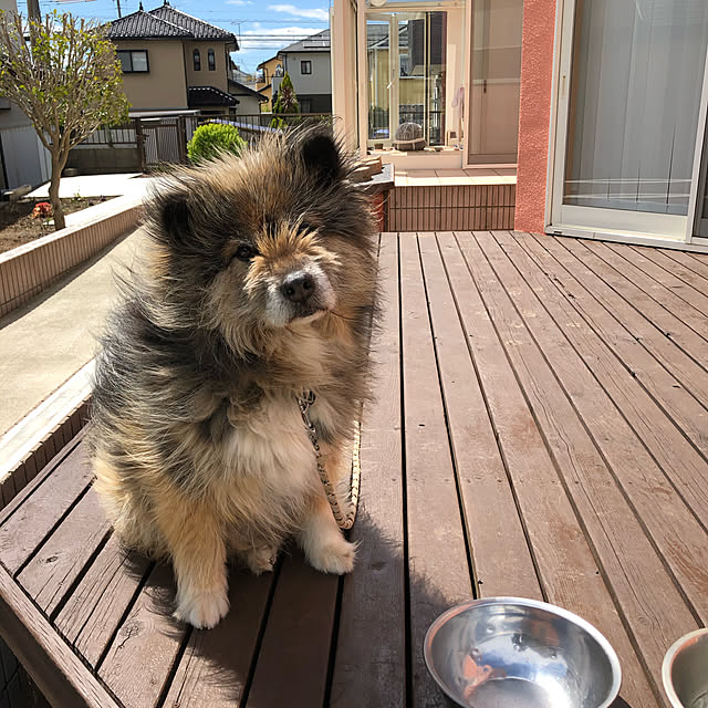 Nikitaさんの実例写真