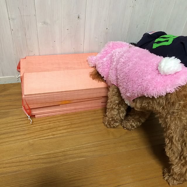 natulove0418さんの実例写真