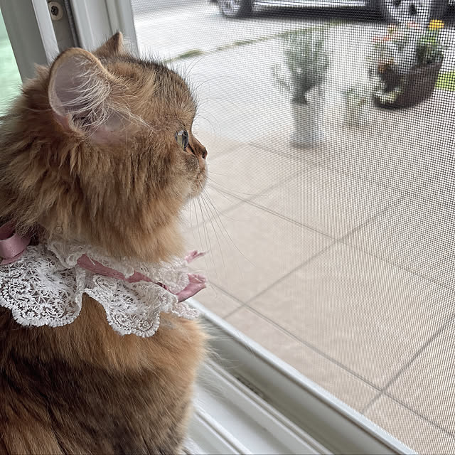 miyu39さんの部屋