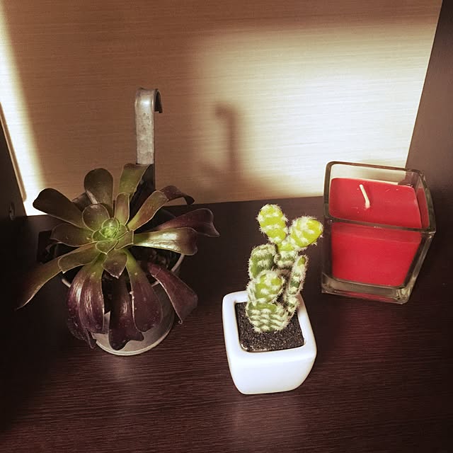 kibonnuさんの実例写真
