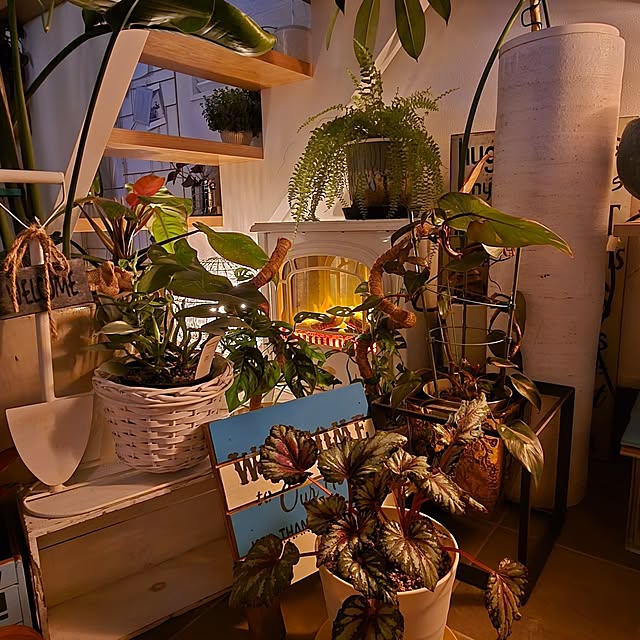 nonbiri_house_さんの部屋