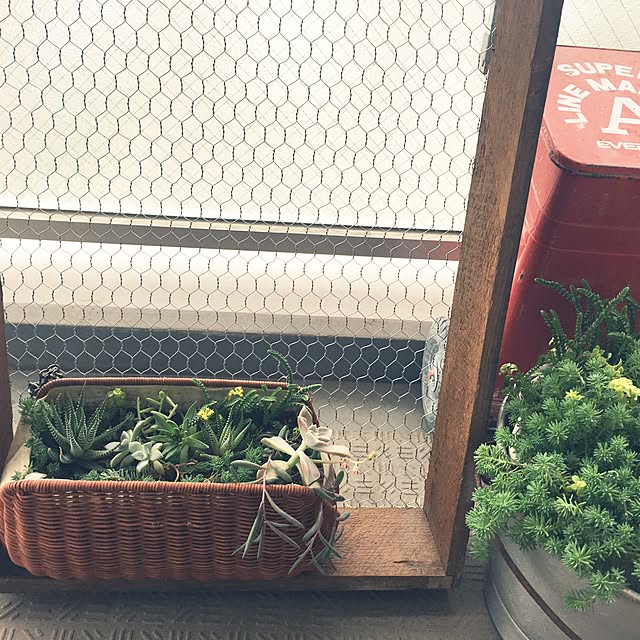 Youさんの実例写真