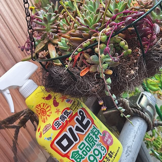 hanapanさんの部屋