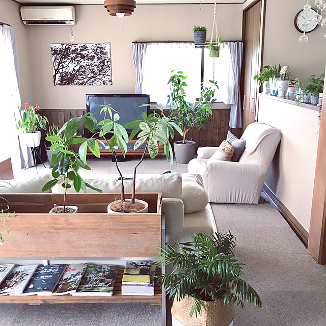acchanさんの実例写真